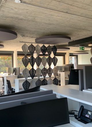 Project Img